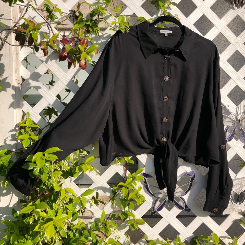 F21 black sheer long sleeve tie-front crop top